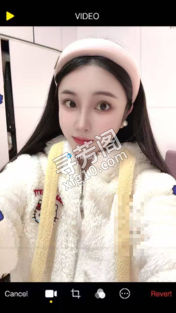上海松江楼凤 2