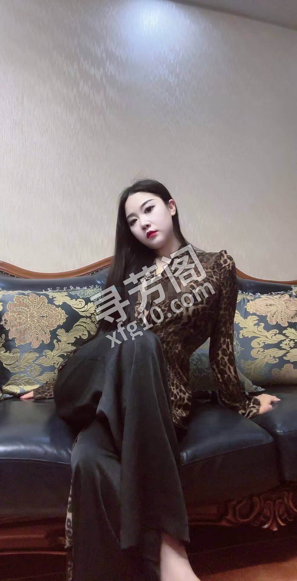 长春楼凤 2
