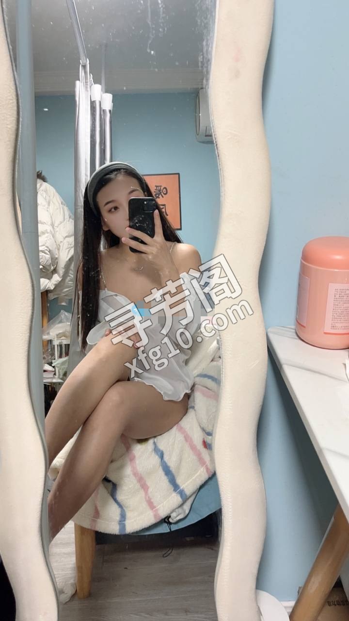 烟台山东省烟台市芝罘楼凤 2