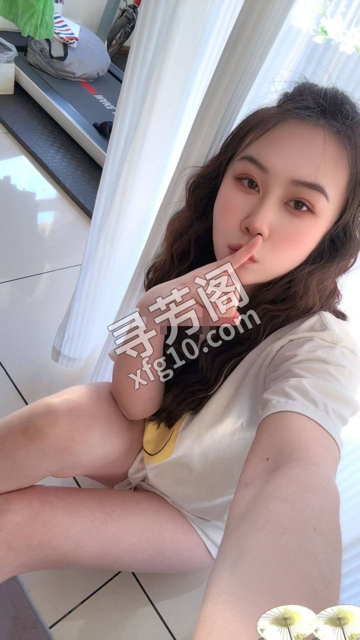 哈尔滨楼凤 2