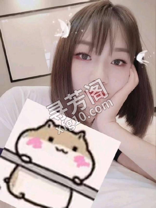 岳麓 5 2