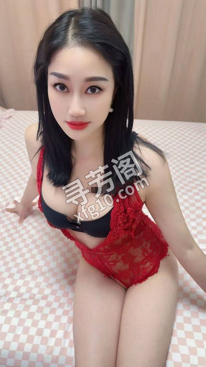西安雁塔楼凤 2