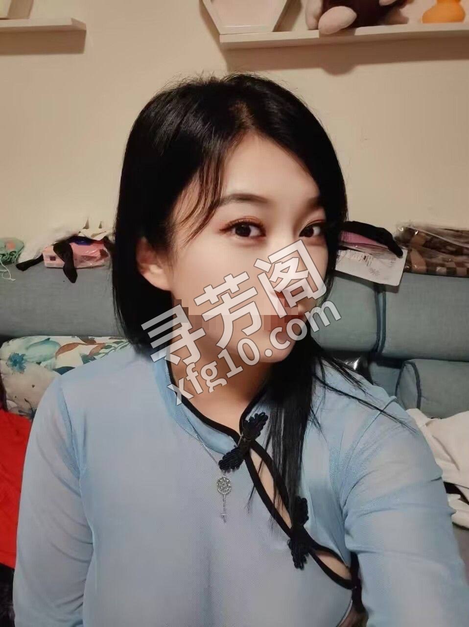 顺德 500 2