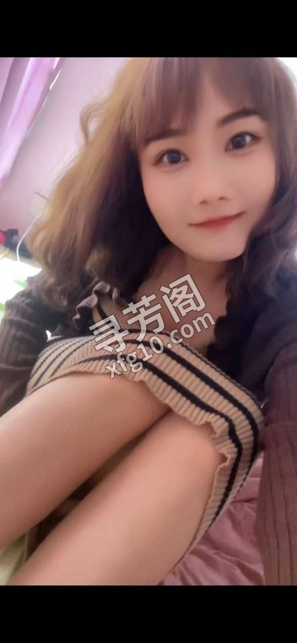 上海杨浦楼凤 3