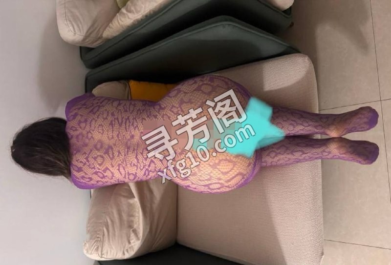 广州海珠楼凤 2