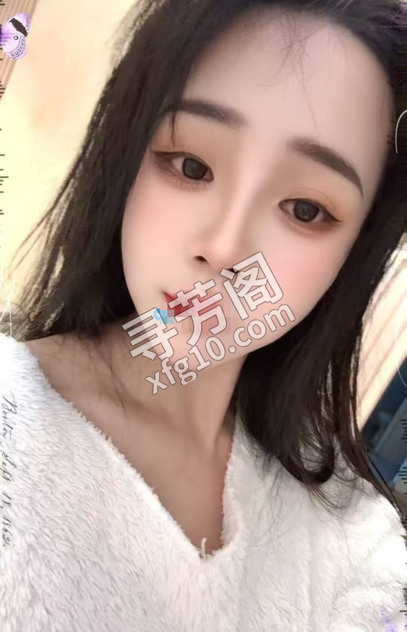 合肥楼凤 2