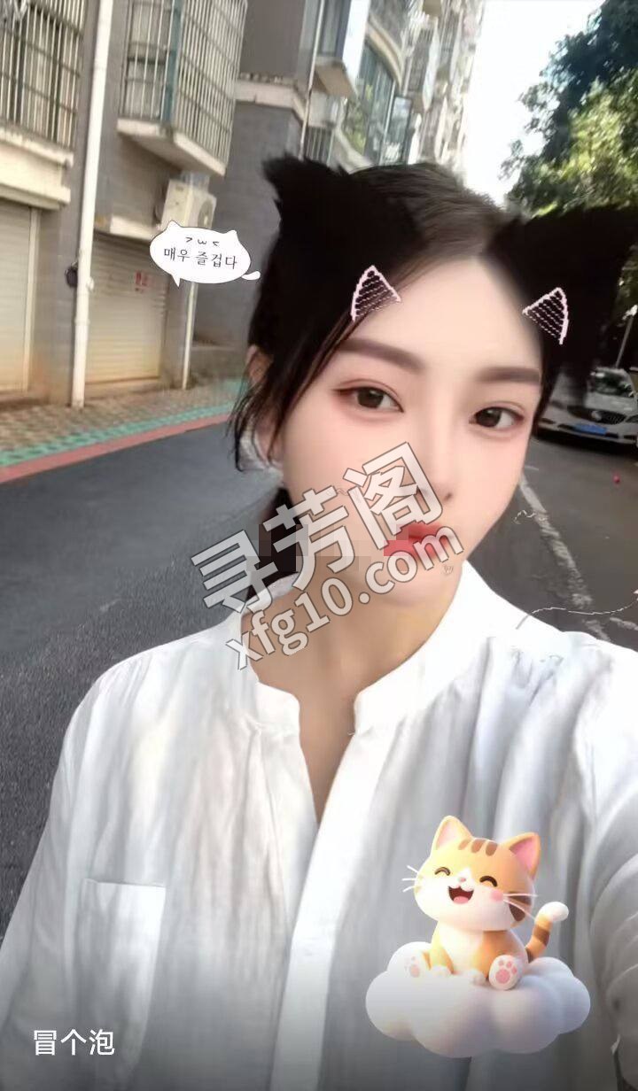 Y Y 蜀山 500 2