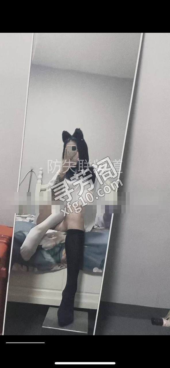 树木岭 700 3