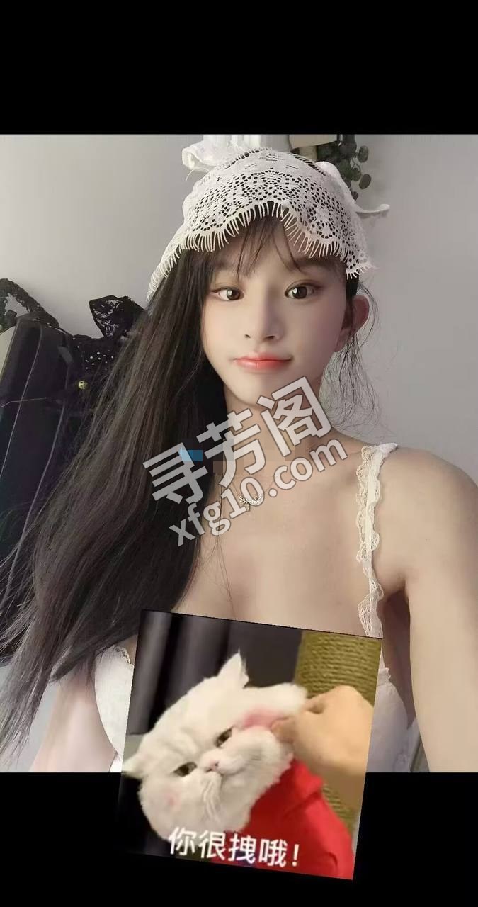 普陀 7 2