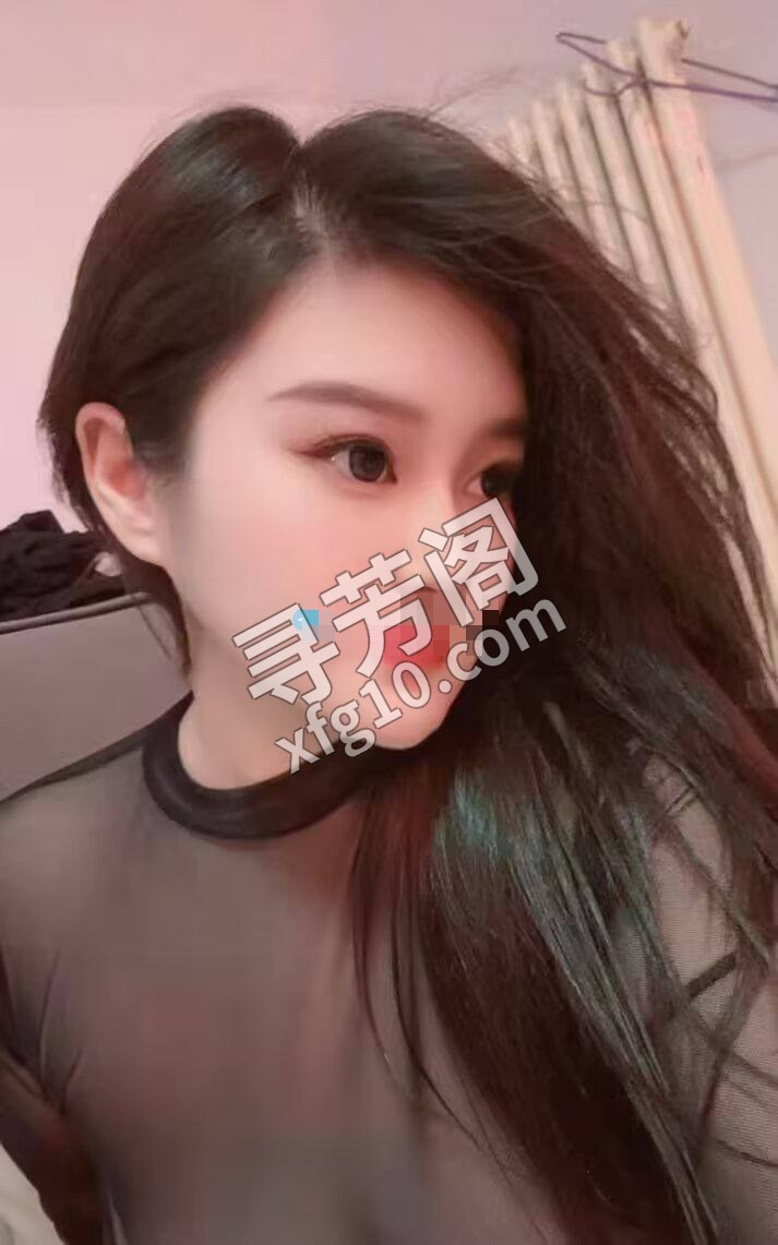 铁西 40 2