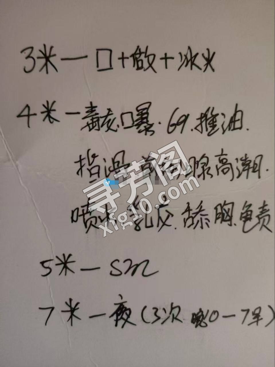 青岛楼凤 4