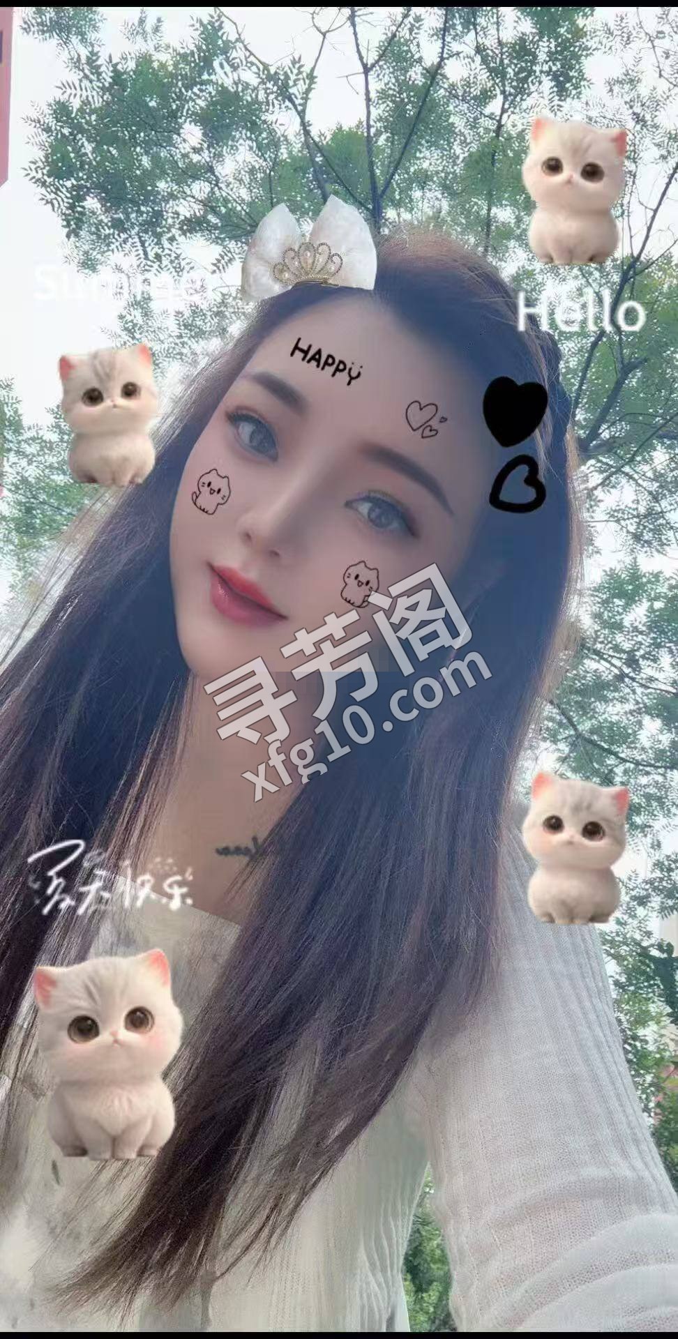 哈尔滨楼凤 4