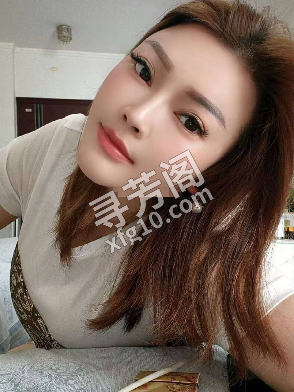 西安雁塔楼凤 2