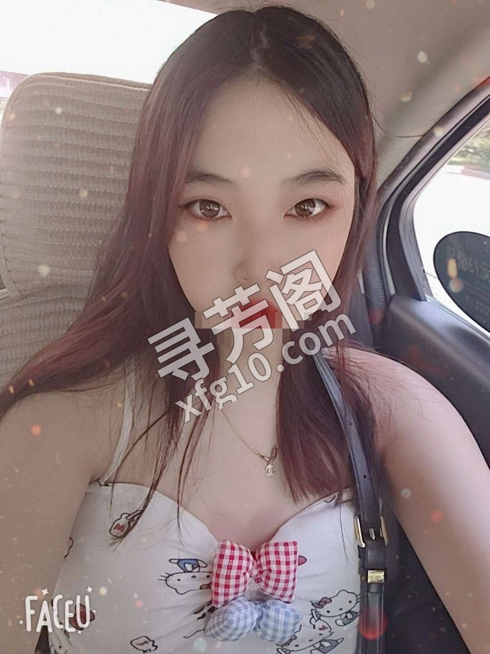 淄博楼凤 3