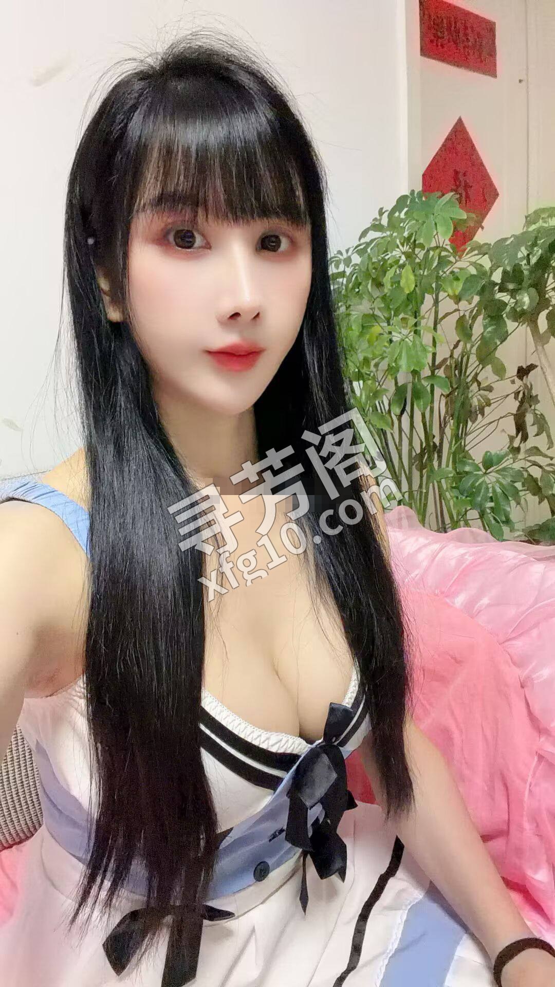 北京朝阳楼凤 2