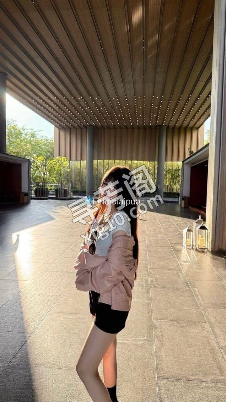 西安雁塔楼凤 2