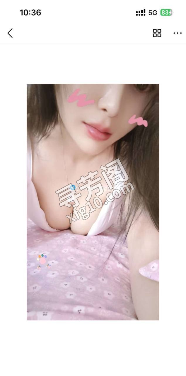 t 中原 2