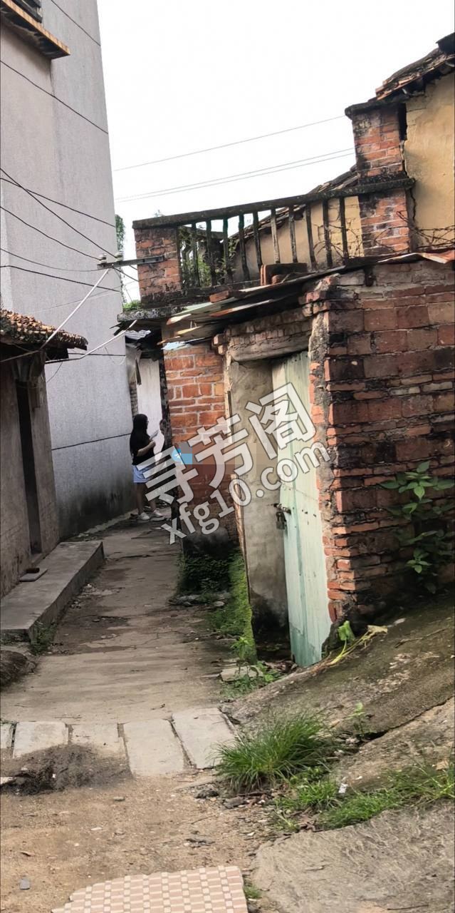 地图导航刘家墩，目的地四周巷子，常平刘家墩老牌小巷子，地方极其隐蔽，环境堪忧，周围一片荔枝林，阴暗潮湿 4