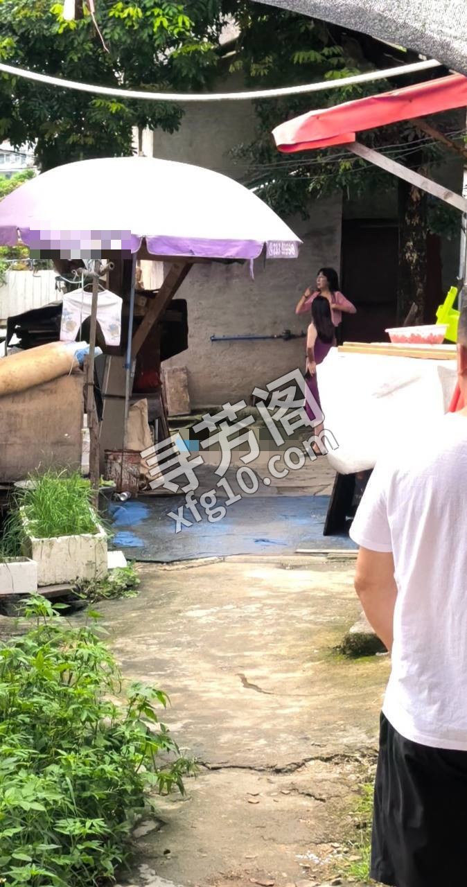 地图导航刘家墩，目的地四周巷子，常平刘家墩老牌小巷子，地方极其隐蔽，环境堪忧，周围一片荔枝林，阴暗潮湿 6