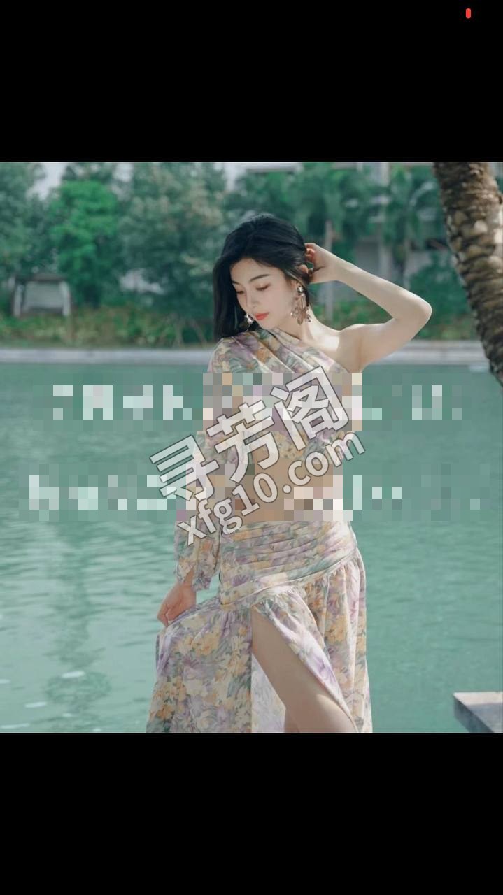 深圳南山楼凤 7