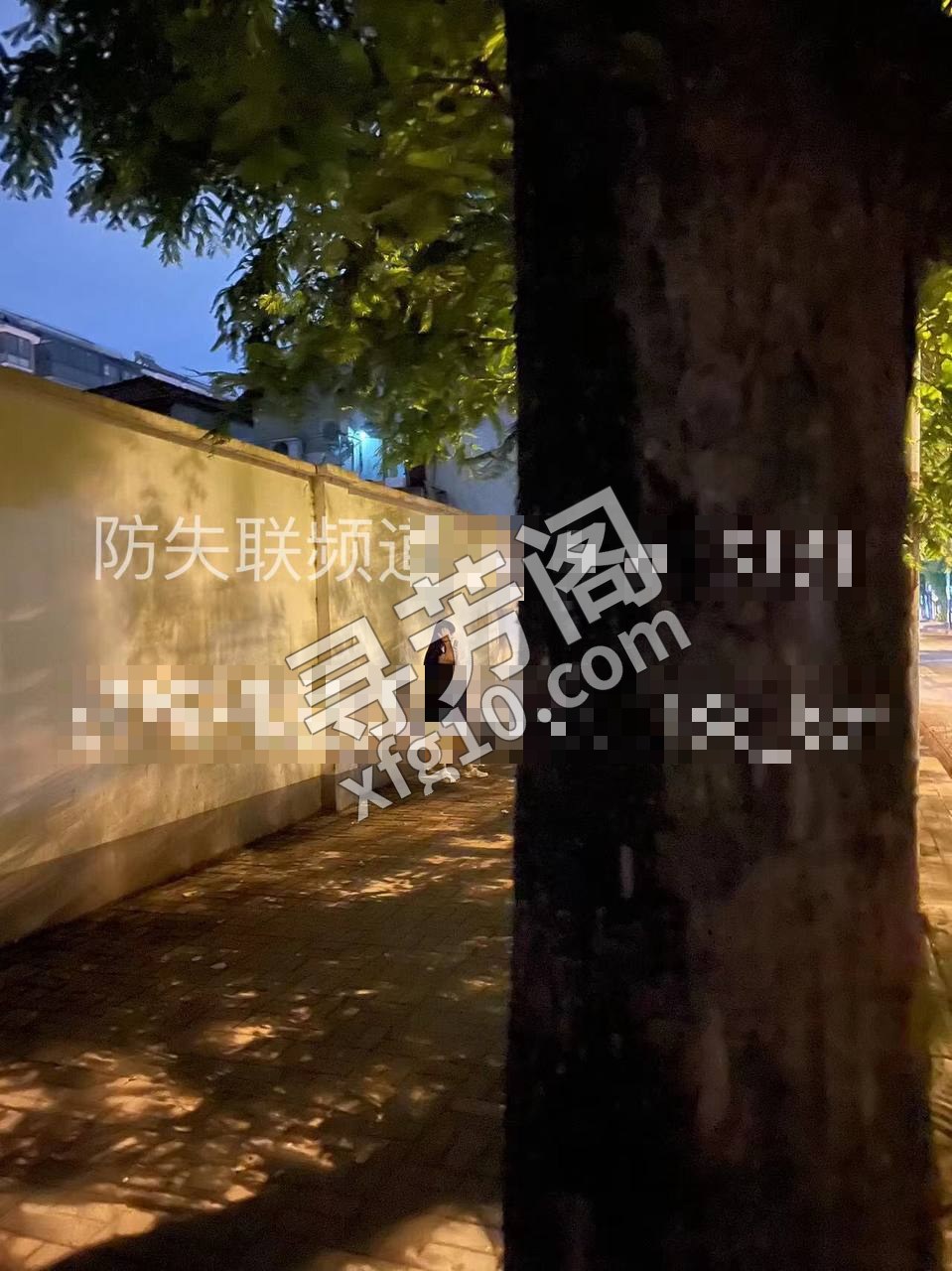 闵行宝南路七宝明强小学对面小巷子，那天路 2
