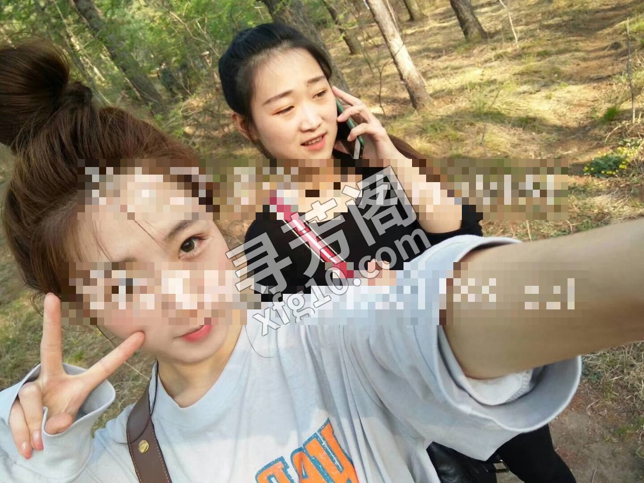 长春楼凤 2