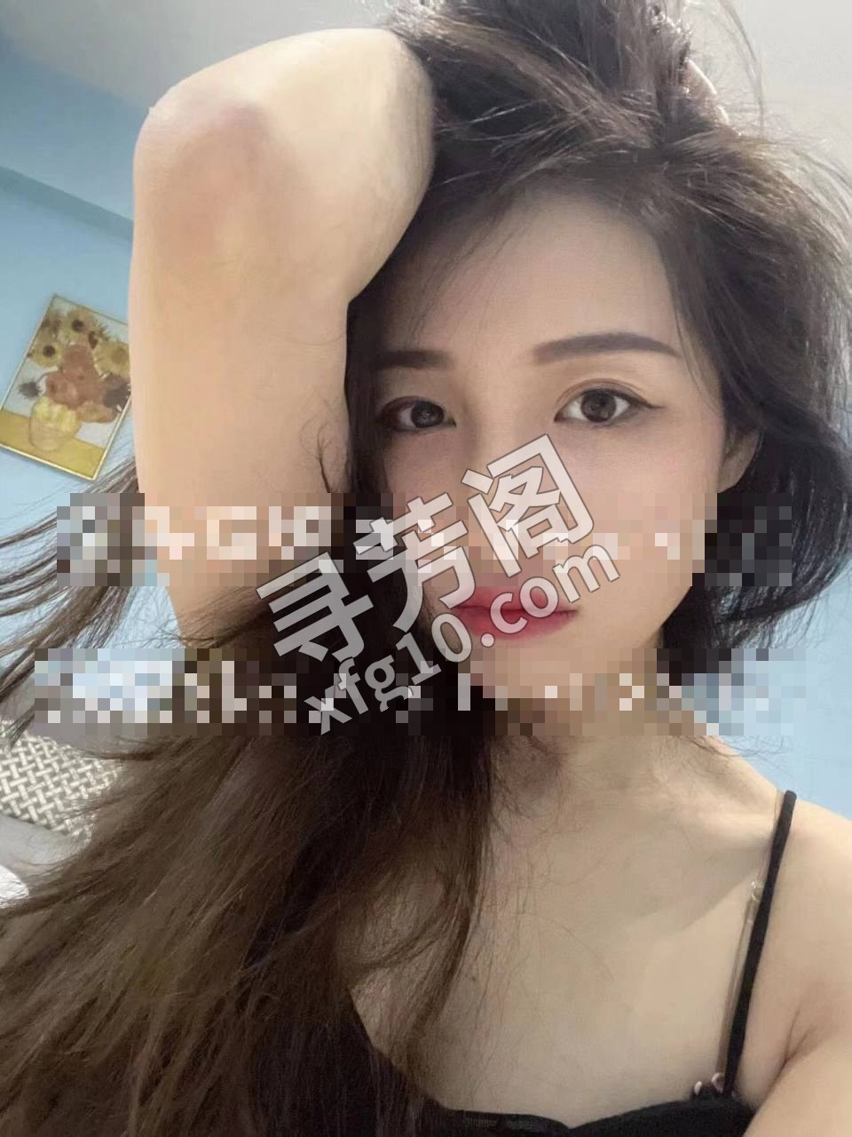万家丽 6 2