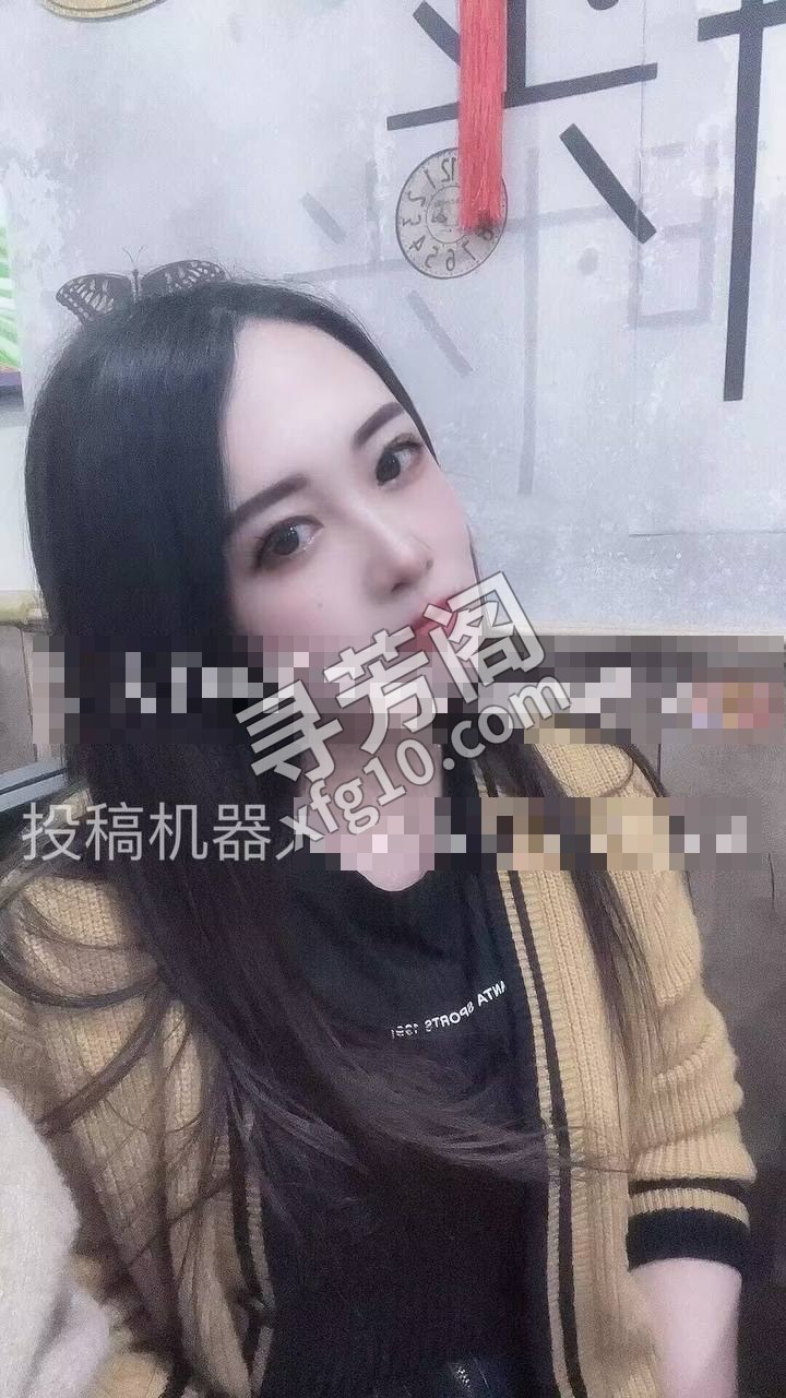 大连楼凤 5
