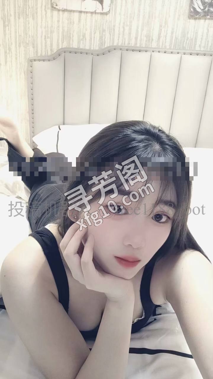 政务区 500 3