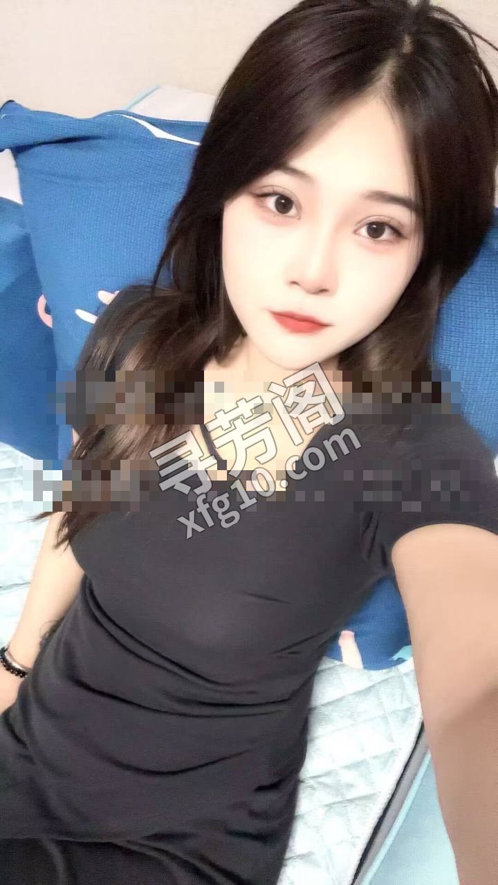 河东 500 2