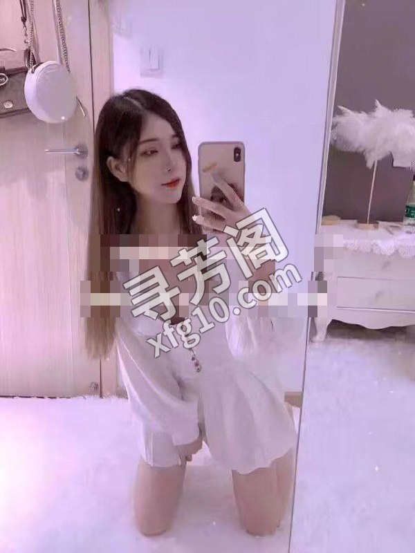沈河区 600 3