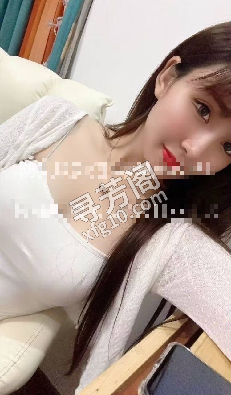 上海徐汇楼凤 2
