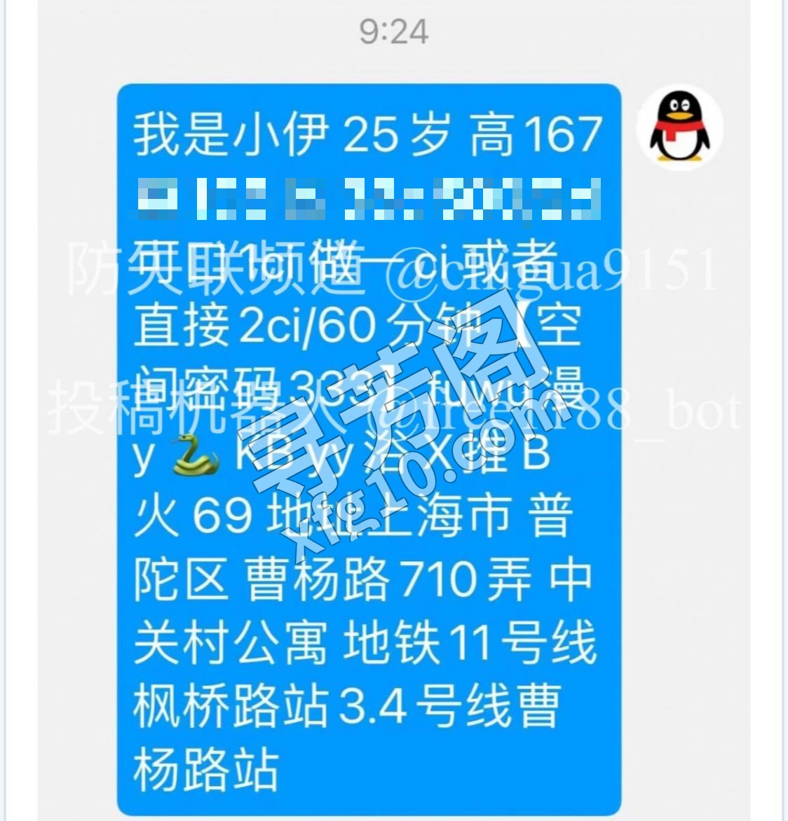 上海楼凤 5