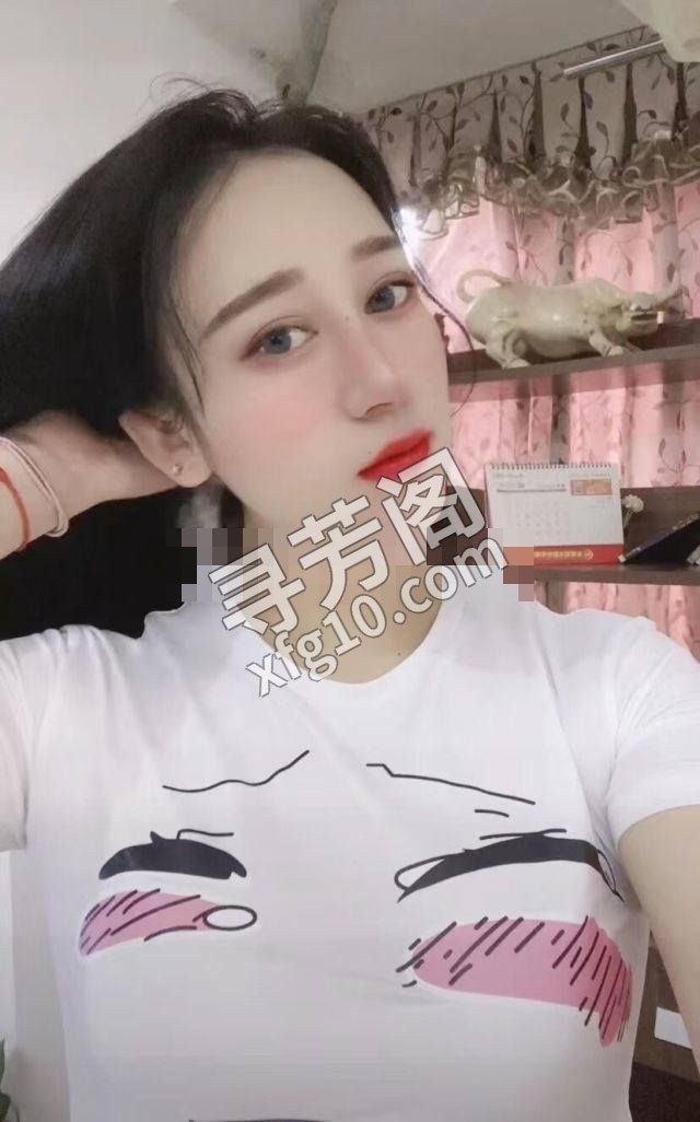 南门彤彤，600 2