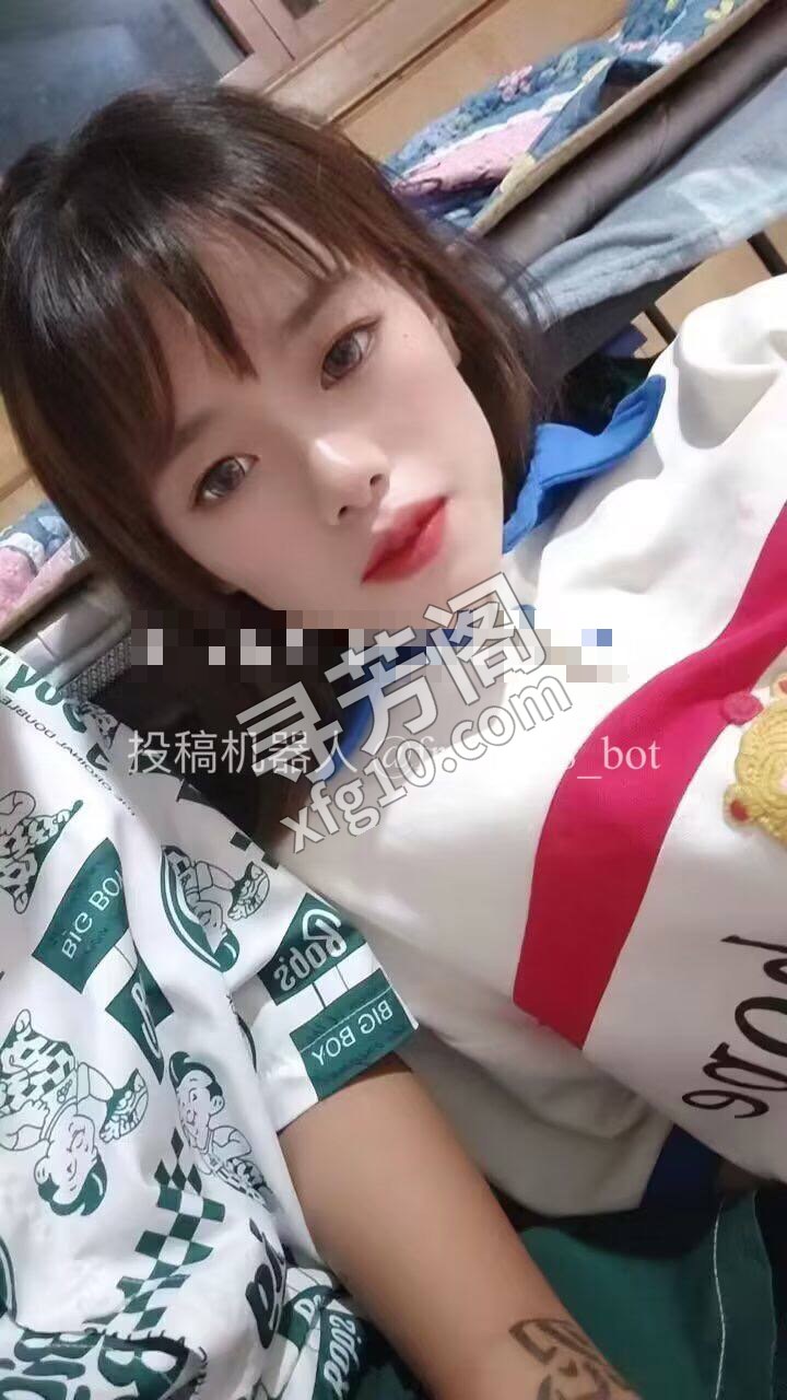 东丽 500 2