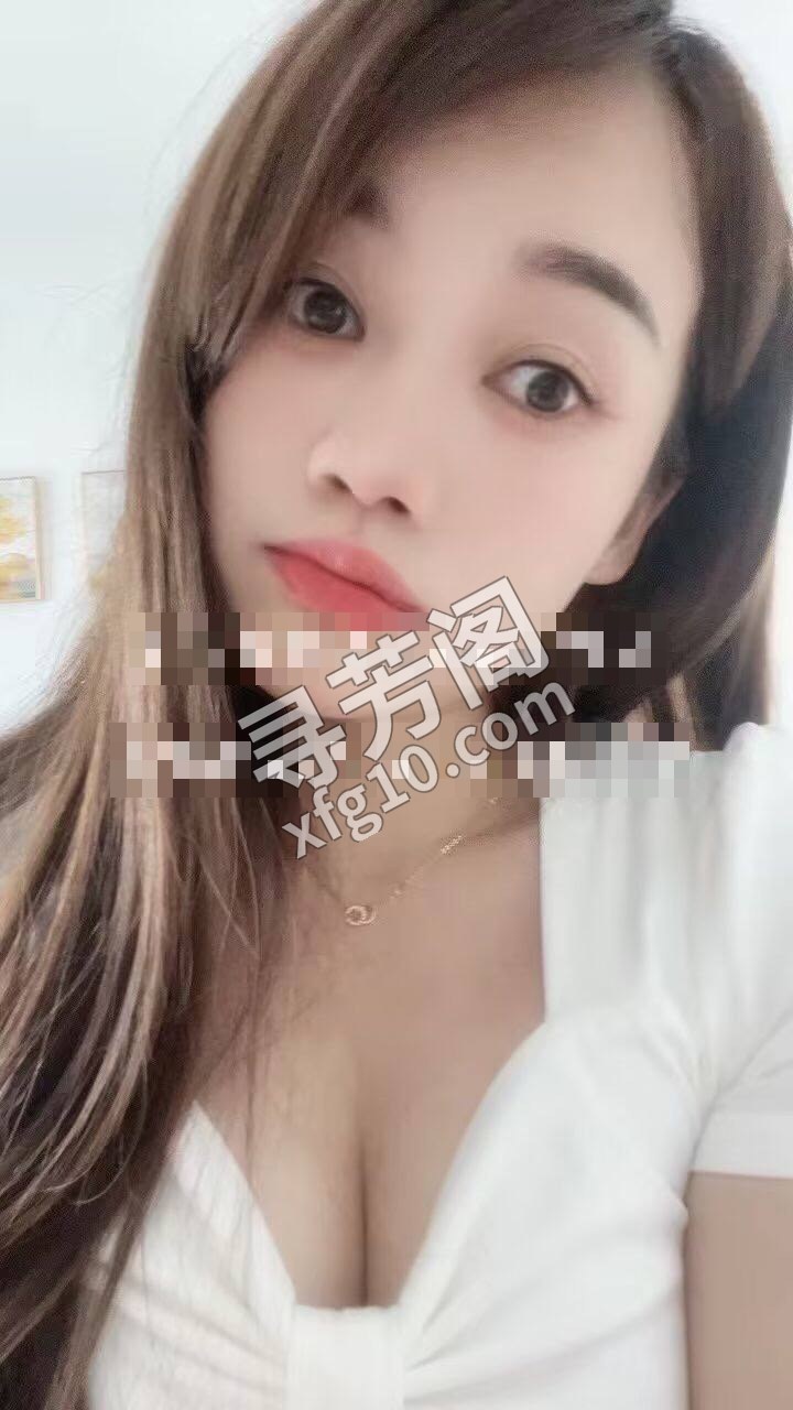 政务区 400 4