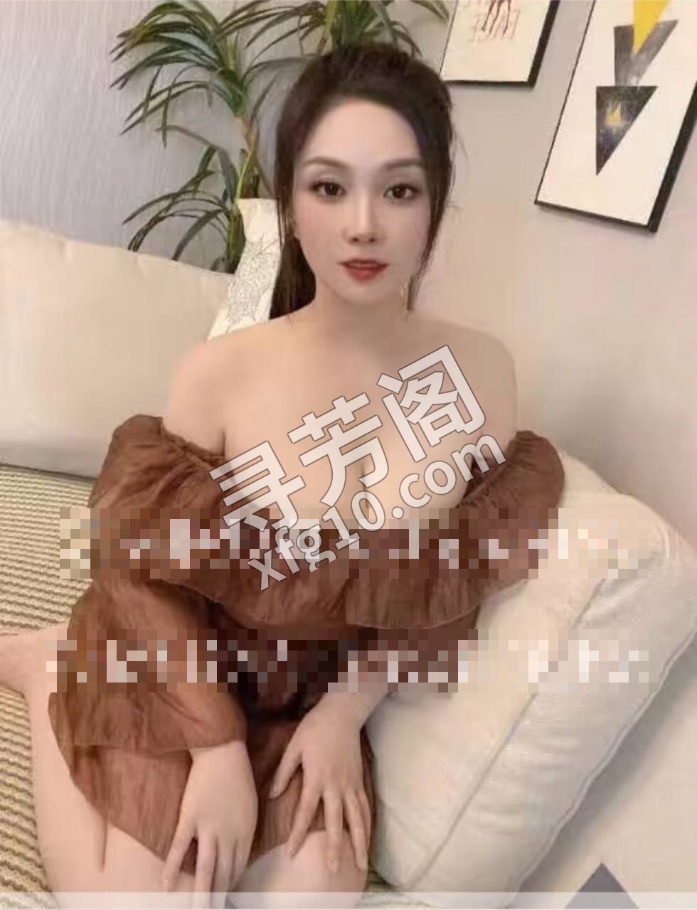 金牛区 4