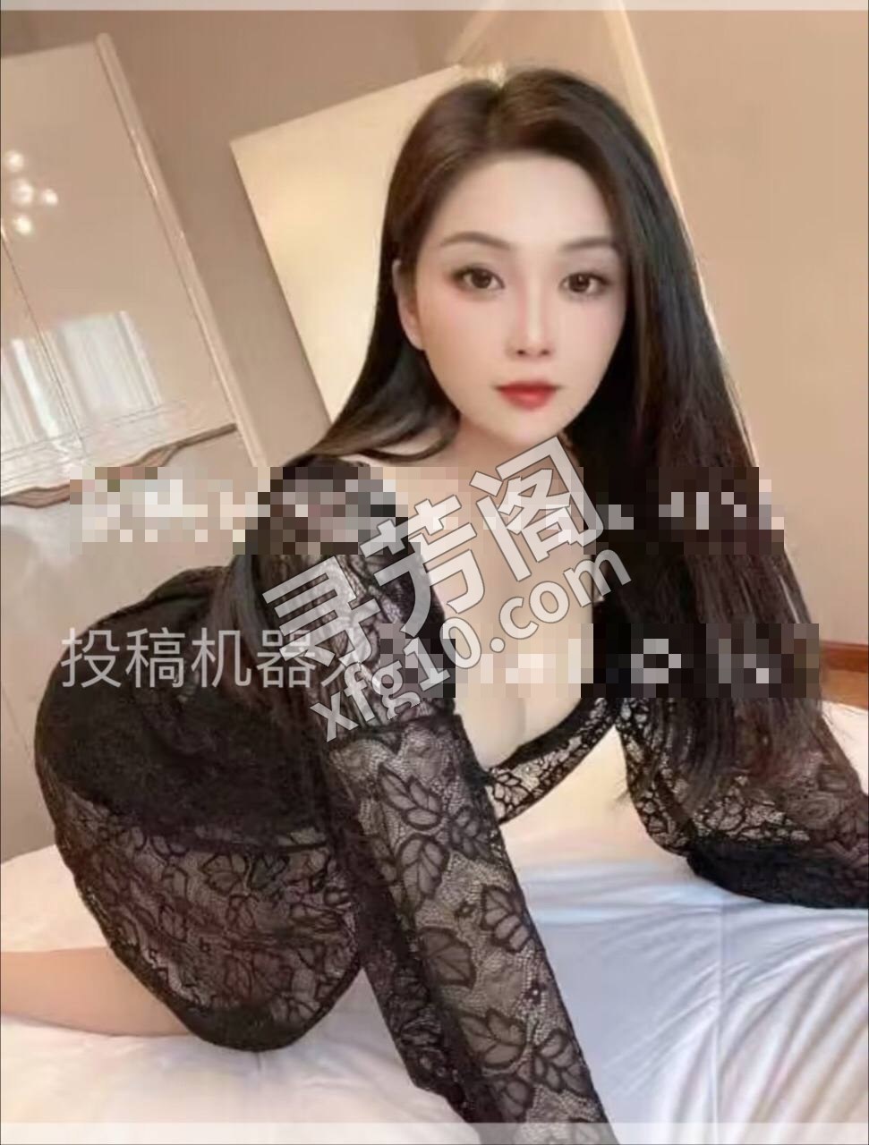 金牛区 5