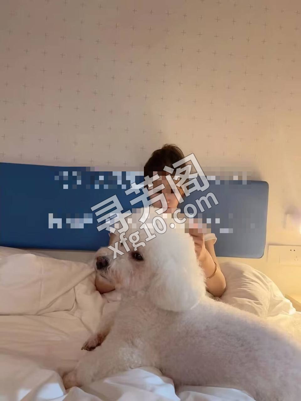 看课表 3