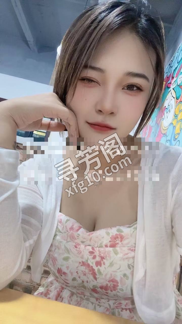 河东 3