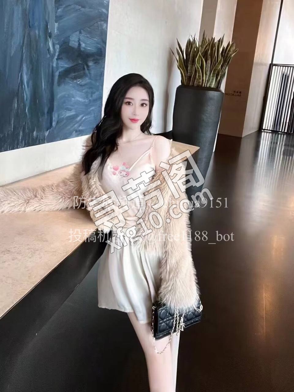 武汉楼凤 2