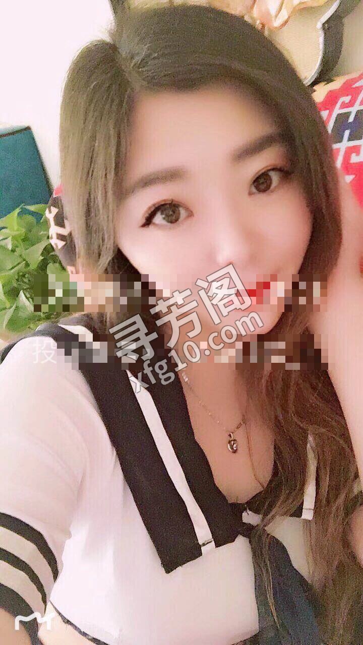东莞 电 2
