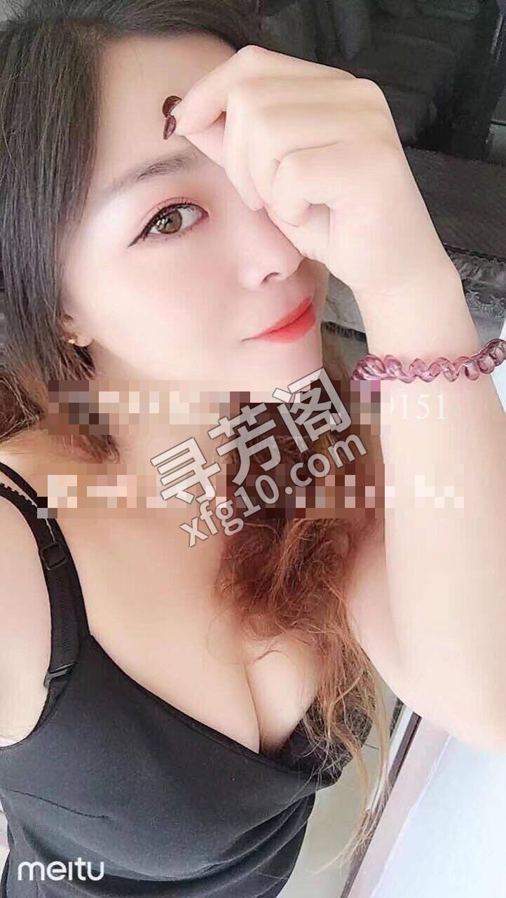 东莞 电 3