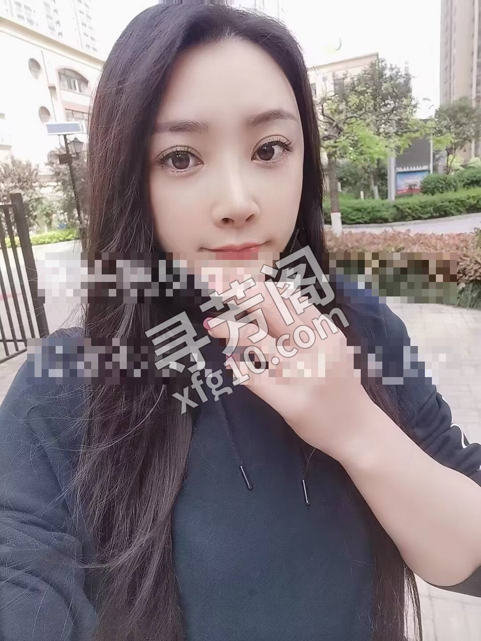 和平 8 3