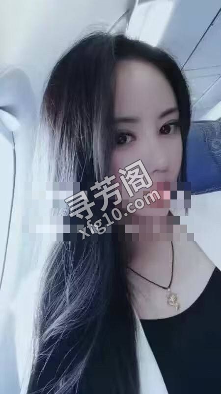 河东 600 2