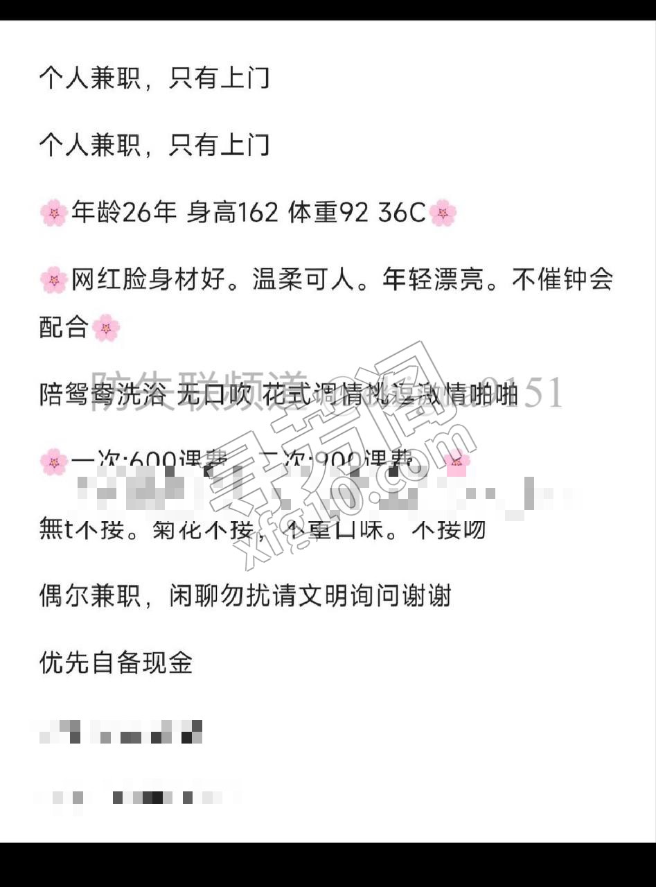长沙各楼凤 4