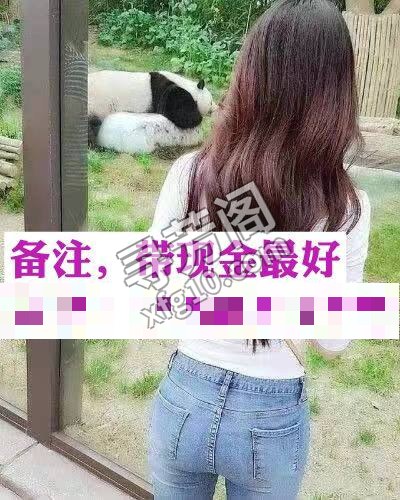 看课表 2