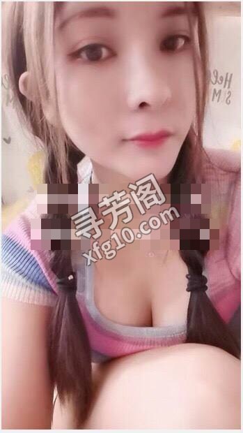 河东 600 2