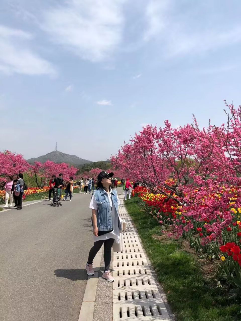 沈阳铁西楼凤 3