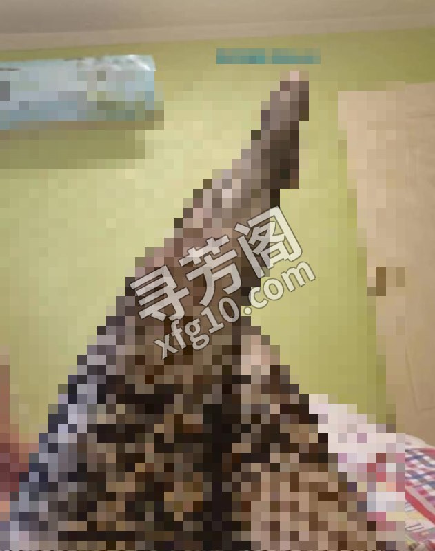 性价比四川少妇 地方 东丽区 年龄 30岁-40岁 颜值： 5分 150 项目 口，按摩，69，漫游冰火，指滑 2
